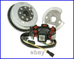Derbi Senda DRD Pro Stator Flywheel Kit (Electric Start)